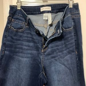 New Lane Bryant, curvy fit